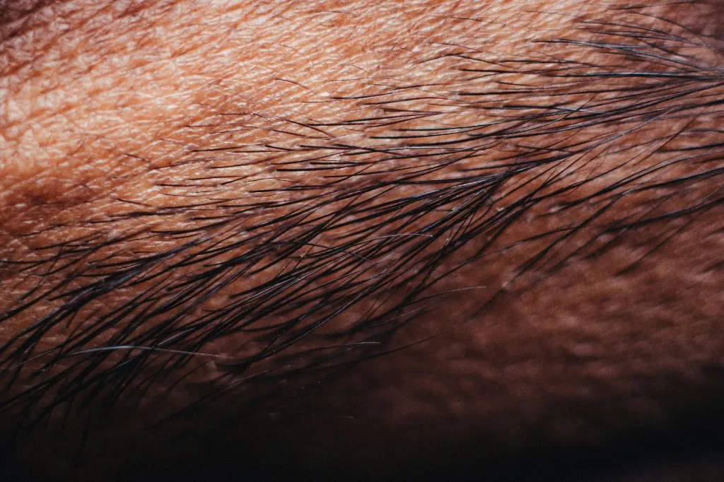 Piel de cerca, con cabello fino sobre la superficie.